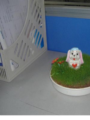 watering and growing lawn